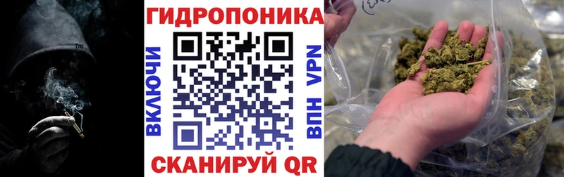 Шишки марихуана OG Kush Печоры